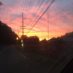 Meet your Posher, Cheyenne